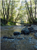 07 To Canal Creek
