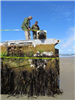 Staff Inspecting