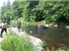Boat Crossing a River