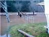 Flooding Impact 2