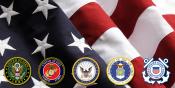 American Flag with military branches