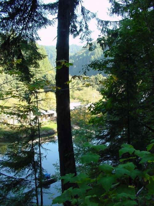 09 To Canal Creek To Trees