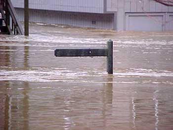 Flooding Impact 4