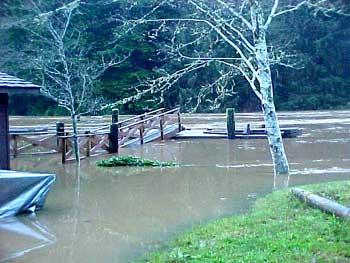 Flooding Impact