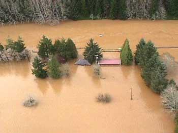 Homes and Trees Underwater from Flooding