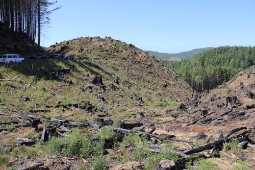 2018 - 2500 Road Fire - Depoe Bay 2 Years Later