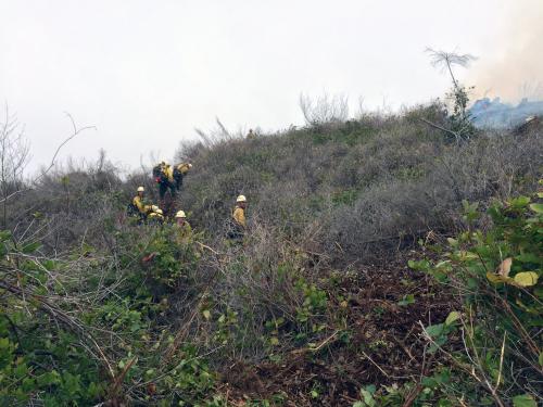 2016 - 2500 Road Fire - Depoe Bay - Firefighters Working