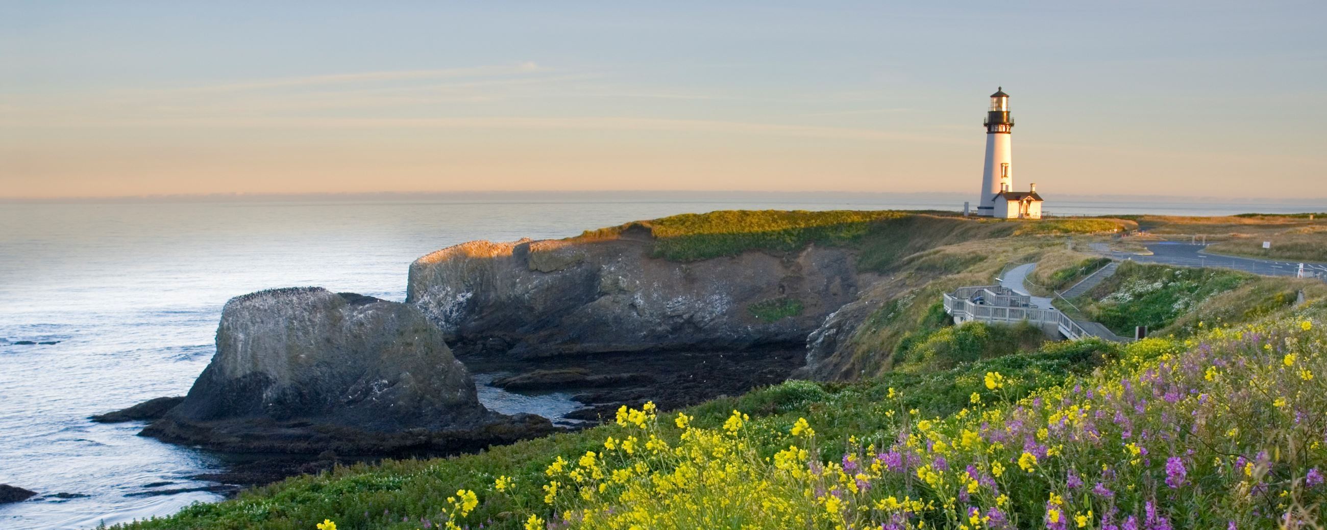 Yaquina Head lighthouse, sunset, sits upon a cliff overlooking the ocean. Wildflowers in foreground.