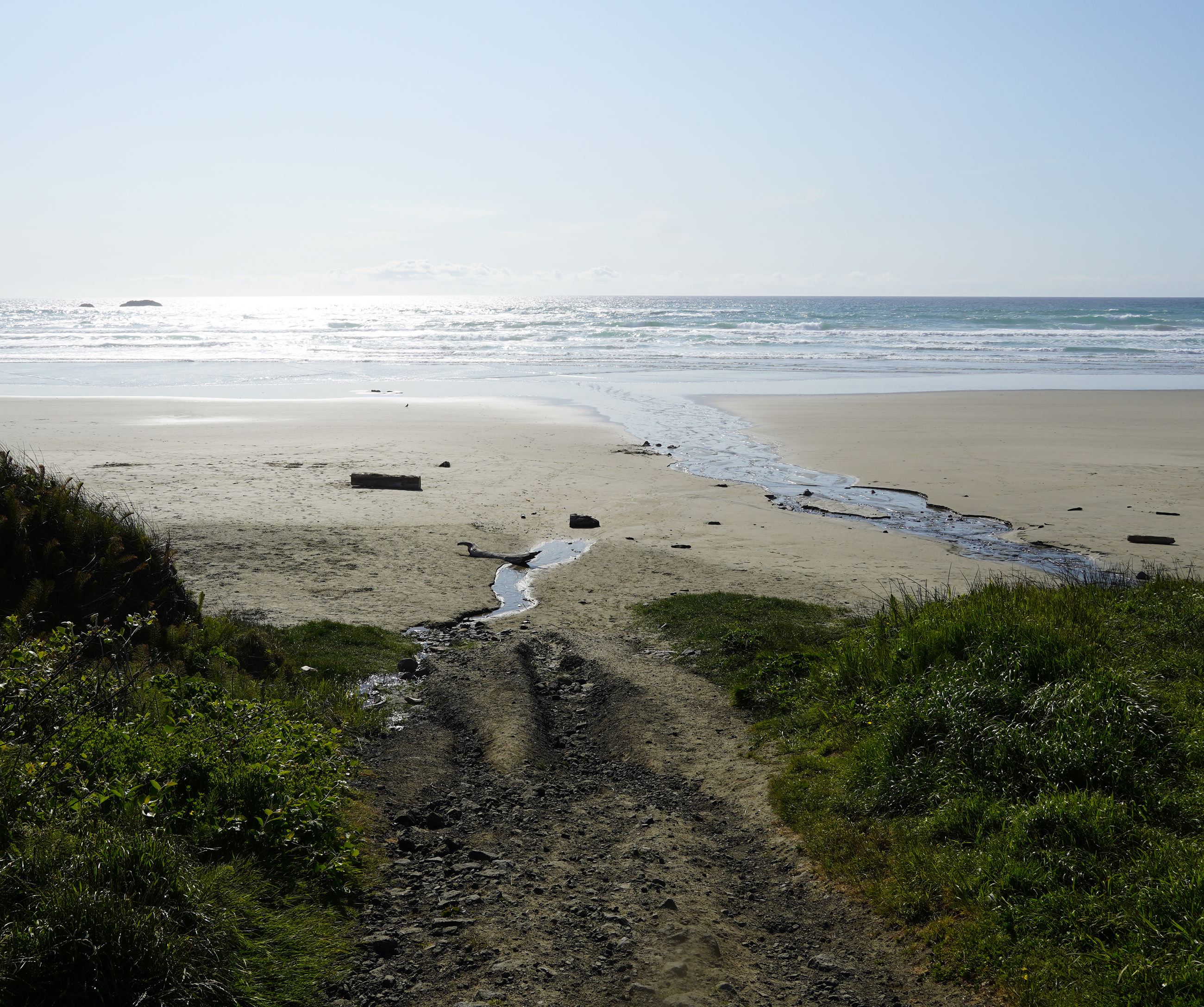 A creek runs to a gleaming ocean below the short path from Seal Rock Wayside parking to the beach