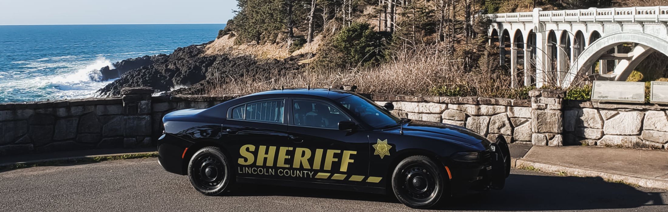 Patrol car parked in front of ocean.