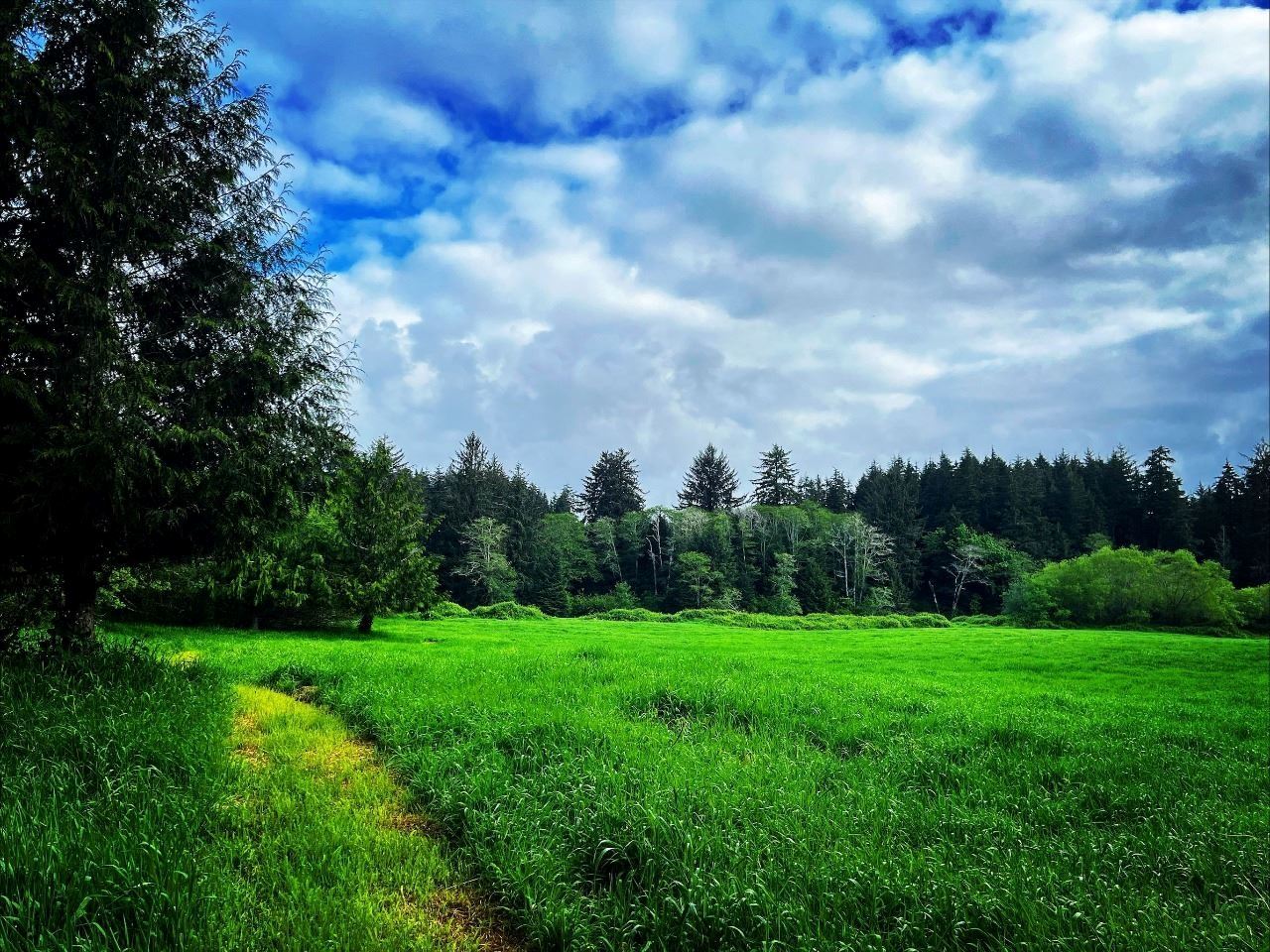 Brown Viewshed
