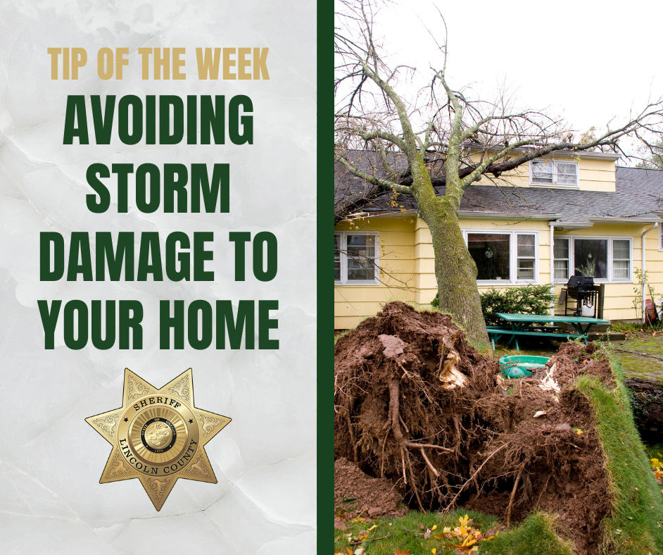 Tip of the Week - Avoiding Storm Damage to Your Home
