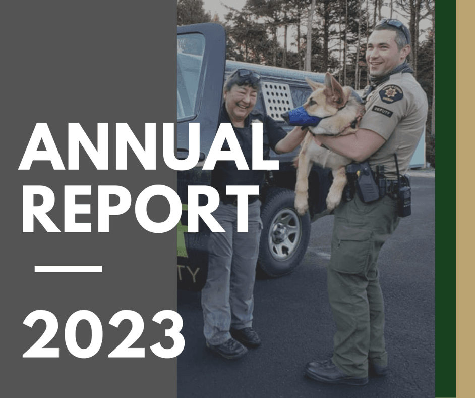 2023 Annual Report 