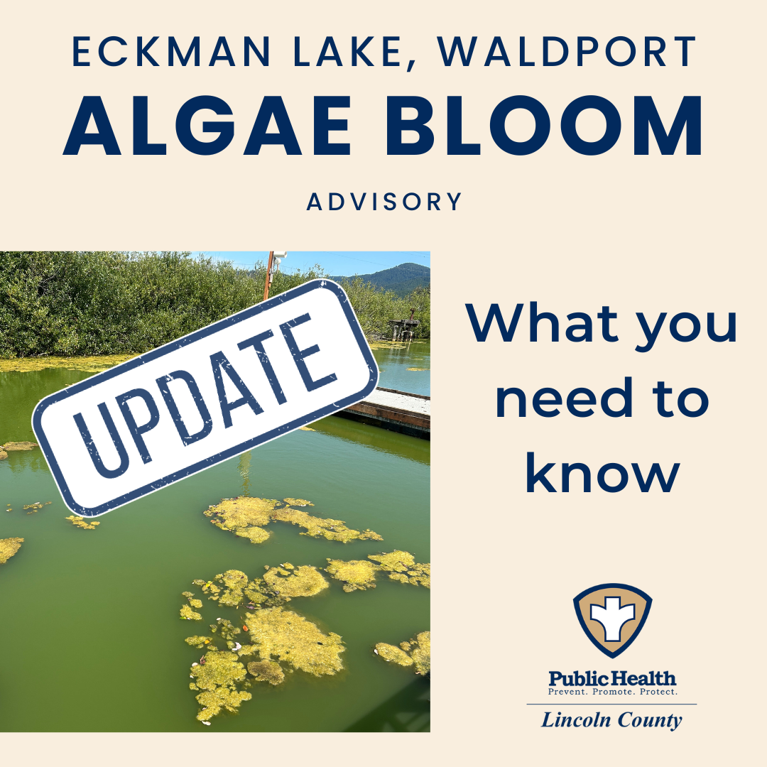 Image of lake with algae bloom. 