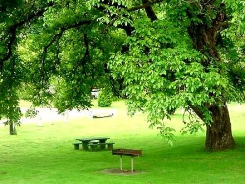 Elk City Park