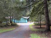 Blue house in forest