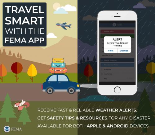 FENA App Graphic